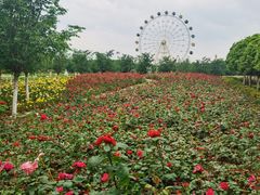 -云幽谷旅游区