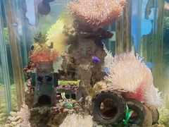 -太平洋海底世界