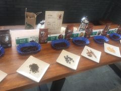 -星巴克臻选(成都宽窄巷子店)