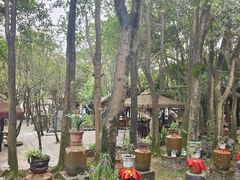 -土砂锅生态山庄·非遗砂锅雅鱼