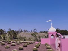 -漳州滨海火山岛自然生态风景区