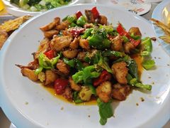 -煲来饱去冷水鱼