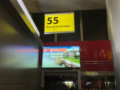 -谢列梅捷沃国际机场