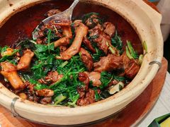 -大鸽饭(岗顶店)