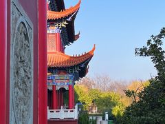 -开福禅寺