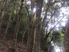 -南武当山景区