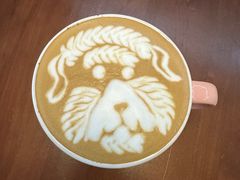-SAFARI COFFEE