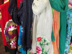 -一棵树(雨儿胡同)