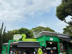 -圣淘沙天际线斜坡滑车