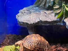 -上海海洋水族馆