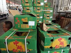 -东方鼎信农副产品交易中心