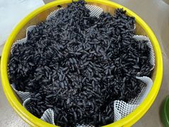 -紫藤园·天目湖大鱼头(南山竹海店)