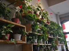 -土桥手掌鸡·26年灌县老味道(都江堰店)
