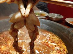 -老天桥蛙炉火锅(姑苏总店)
