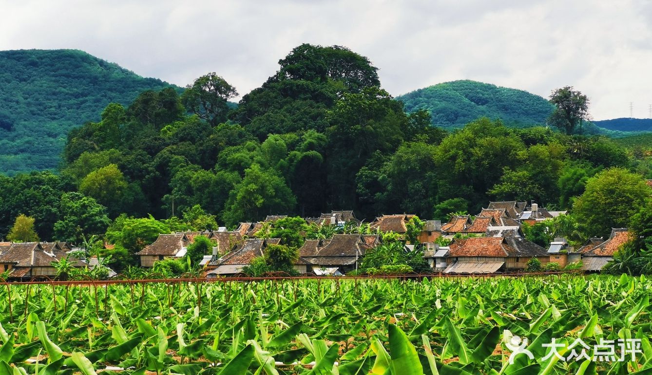 向往的生活拍摄地|西双版纳*曼远村