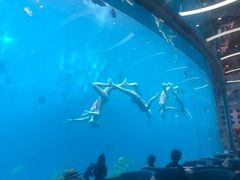 -瑞德姆美人鱼海底演艺主题餐厅(亚龙湾店)