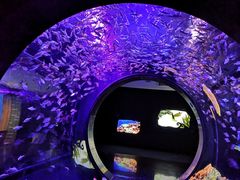 -成都浩海立方海洋公园