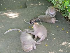 -乌鲁瓦图寺