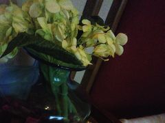 -唐宫足道·SPA·影院会馆(木渎店)