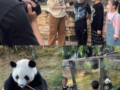 -泉州海丝野生动物世界