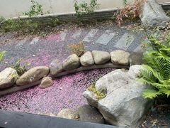 -墨池公园