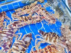 -船奇蒸汽海鲜·闽菜(八市海鲜总店)