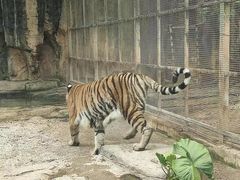 -昆明动物园