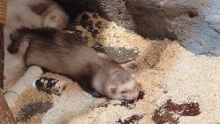 -Zoolung Zoolung动物主题公园(海信广场店)