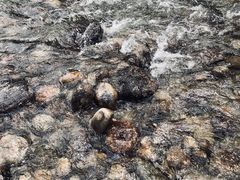 -可可托海景区