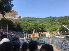-东部华侨城