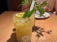-O'eat Blossom&Pelican(深圳首店)