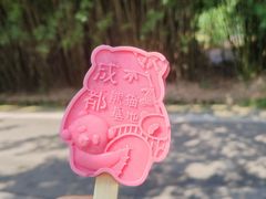 -成都大熊猫繁育研究基地