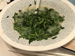-千灯盛汇·头牌粤菜(致越优城店)