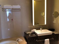 卫生间-天津水游城丽筠酒店