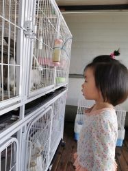-小蜜蜂农场(凯德七宝购物广场店)