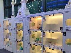 -小猫来了·猫舍(红山六九七九店)