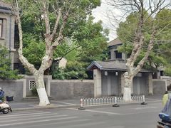 -紫峰大厦