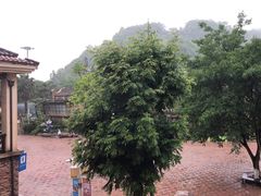 -重庆海昌加勒比海水世界