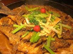 老板恋上鱼-老板恋上鱼(高新万达店)