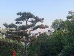 -乌山风景区