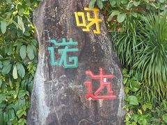-呀诺达热带雨林