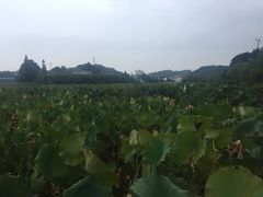 -周立波故居