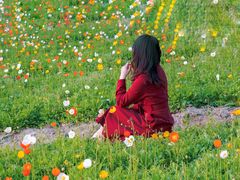 -艾溪湖湿地公园