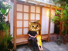 -拾壹cafe·工作室