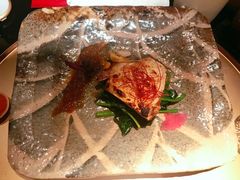 -地球美食剧场