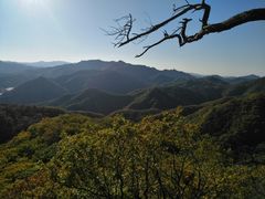 -天女山森林公园