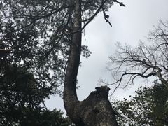 -东天目山风景区