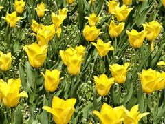 -长春公园(普阳街道)