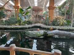 -南宫五洲植物乐园