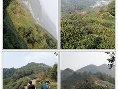 -西湖风景区十里琅珰-五云山